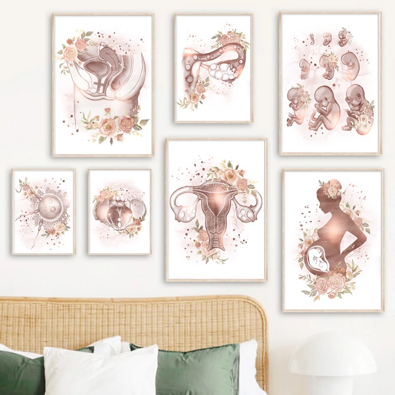 Pósteres de Ginecología, Anato - Resin Art Pregnancy reseña y precio